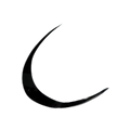 RIDEX Titanium Transparent Spoiler Gen Ii Spares Accessories