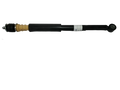 Absorber Assy Rear
