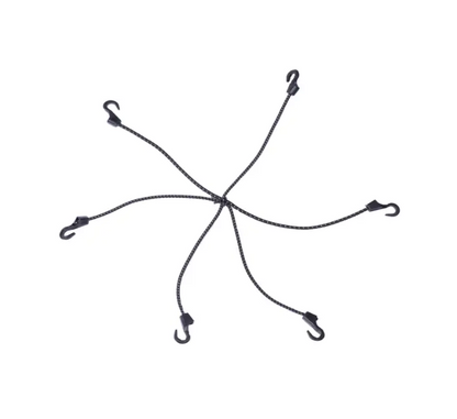 SOLACE Spider Bungee Card Safety Accessories